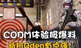 codm体验服最新爆料mk2,MK2震撼登场